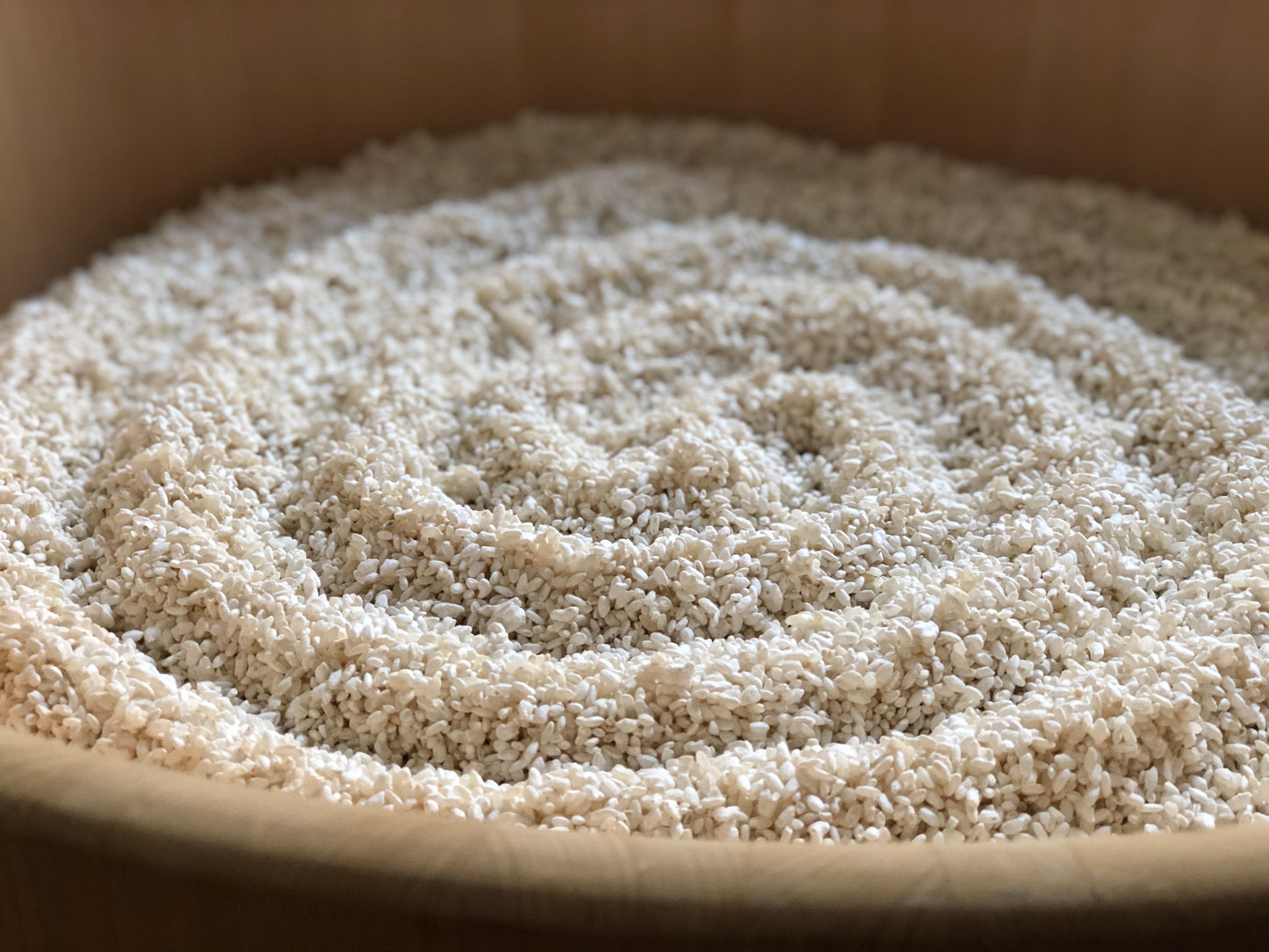 命を育む発酵講座 ナカジ先生